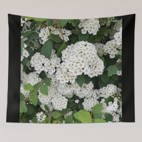 Item preview, A Vibrant Explosion of Life designed and sold by Lana Magnolia.