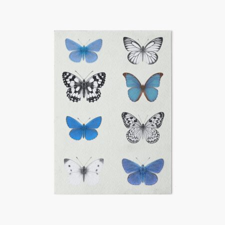 Item preview, Elegant Blue & White Butterfly Art Print – Nature Wall Decor designed and sold by Andrea Lauren.