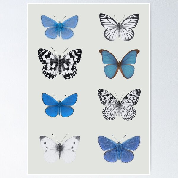 Item preview, Elegant Blue & White Butterfly Art Print – Nature Wall Decor designed and sold by Andrea Lauren.