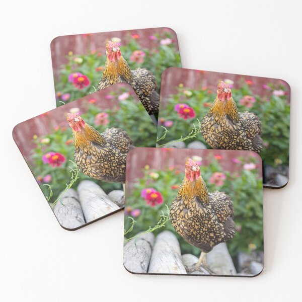 Item preview, She's giving me the chicken look designed and sold by PTPhotoLLC.