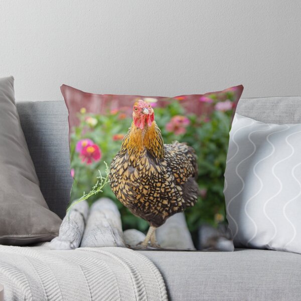 Item preview, She's giving me the chicken look designed and sold by PTPhotoLLC.