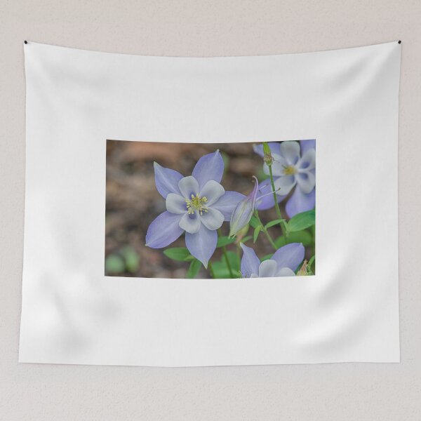 Item preview, Pittsburgh Columbine designed and sold by Imagery.