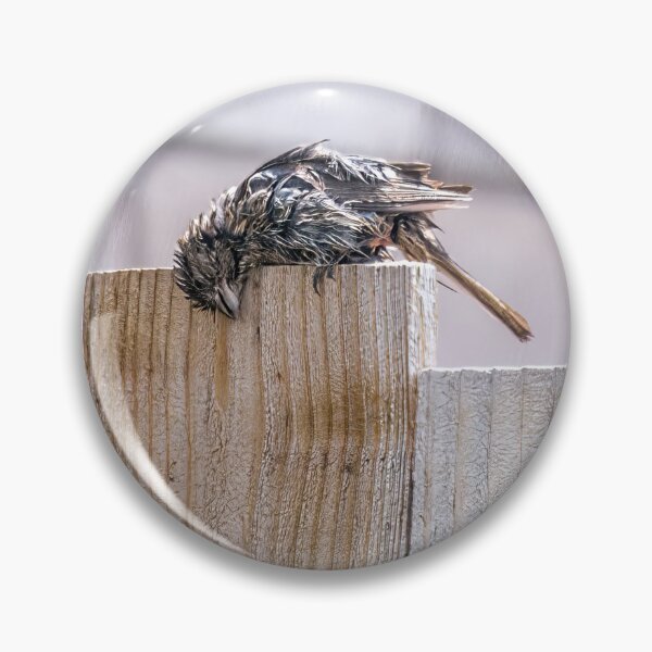 Item preview, After Bath Rubs Feel So Good designed and sold by CarolM.