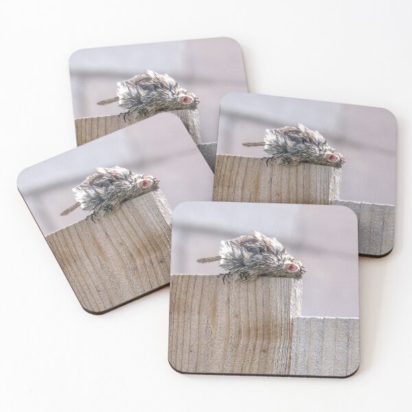 Item preview, Awwwwww, This Feels So Good! designed and sold by CarolM.