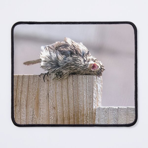 Item preview, Awwwwww, This Feels So Good! designed and sold by CarolM.