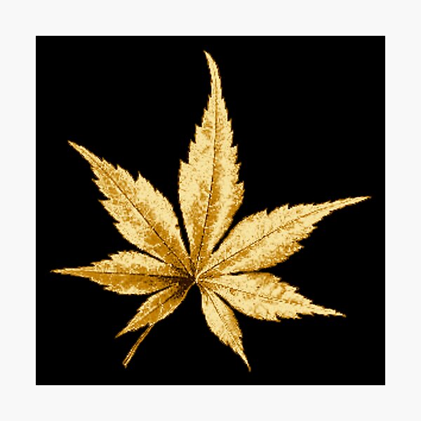 Item preview, Golden Leaf designed and sold by Rizinator.