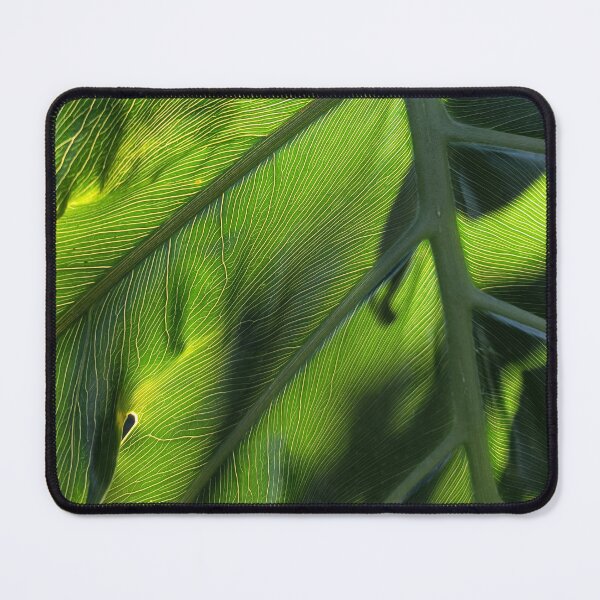 Item preview, Adventures in Backlighting  designed and sold by Jimbo McCoy.