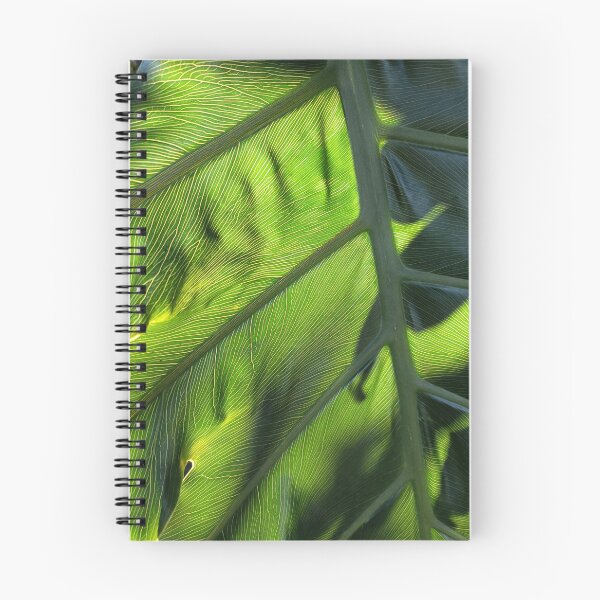 Item preview, Adventures in Backlighting  designed and sold by Jimbo McCoy.