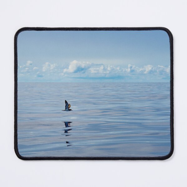 Item preview, Bird over the Ocean 01 designed and sold by Weston Westmoreland.