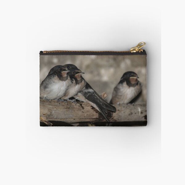 Item preview, Swallow Fledglings roosting on a branch designed and sold by HAPhotography.