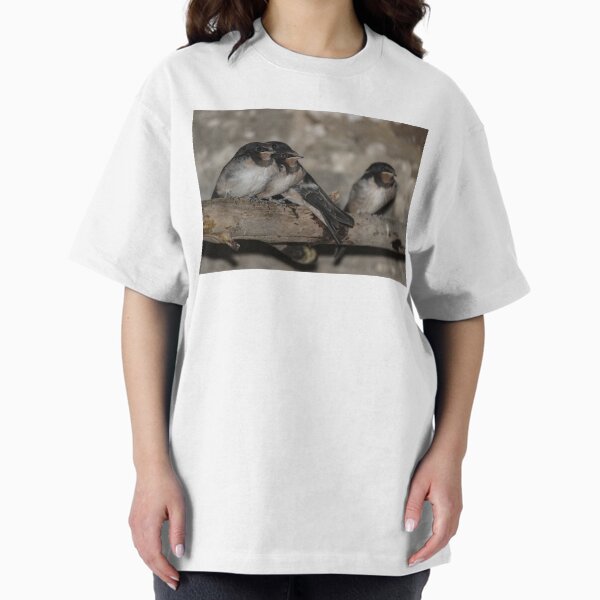 Item preview, Swallow Fledglings roosting on a branch designed and sold by HAPhotography.