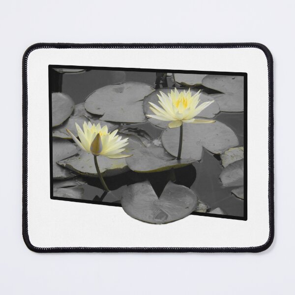 Item preview, Bloom Beyond the Frame designed and sold by Yolanda Caporn Art.