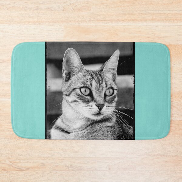 Item preview, Istrian cat designed and sold by RenataPhoto.