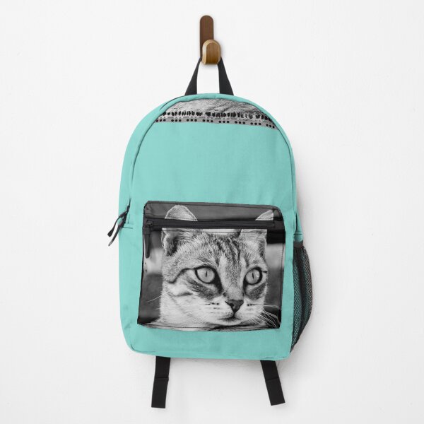 Item preview, Istrian cat designed and sold by RenataPhoto.