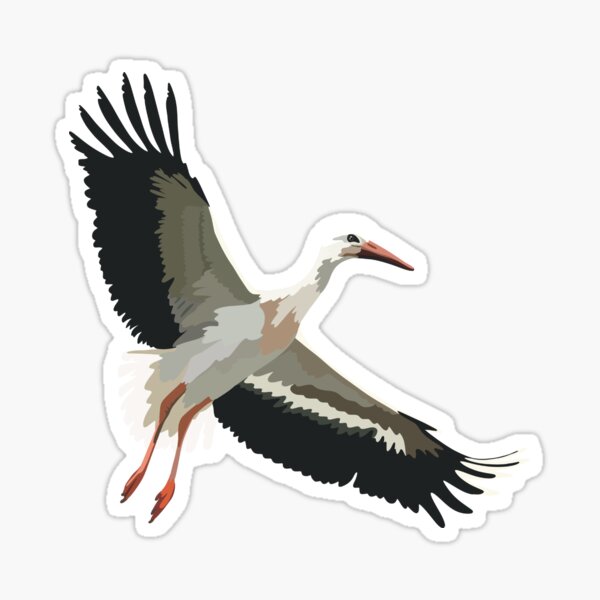 Item preview, W is for White Stork, White Stork – Elegant Migratory Bird Wildlife Design designed and sold by PrettylittlepastelUk.