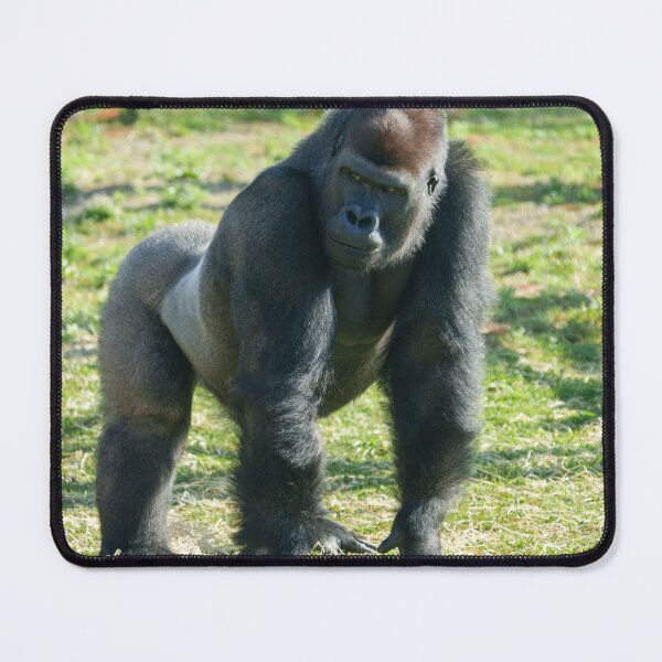 Item preview, Gorilla Lope Displays Powerful Frame designed and sold by rawshutterbug.