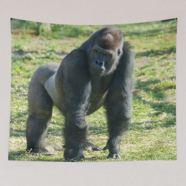 Item preview, Gorilla Lope Displays Powerful Frame designed and sold by rawshutterbug.