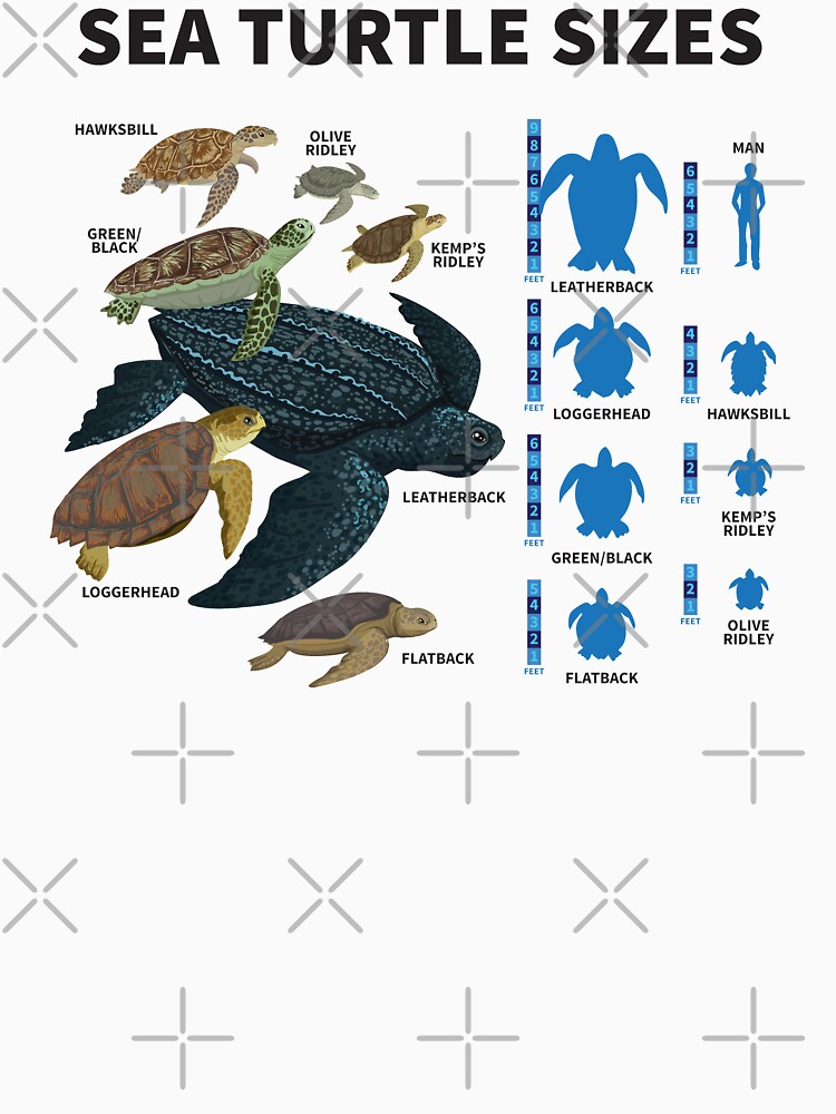 turtle shirt size chart