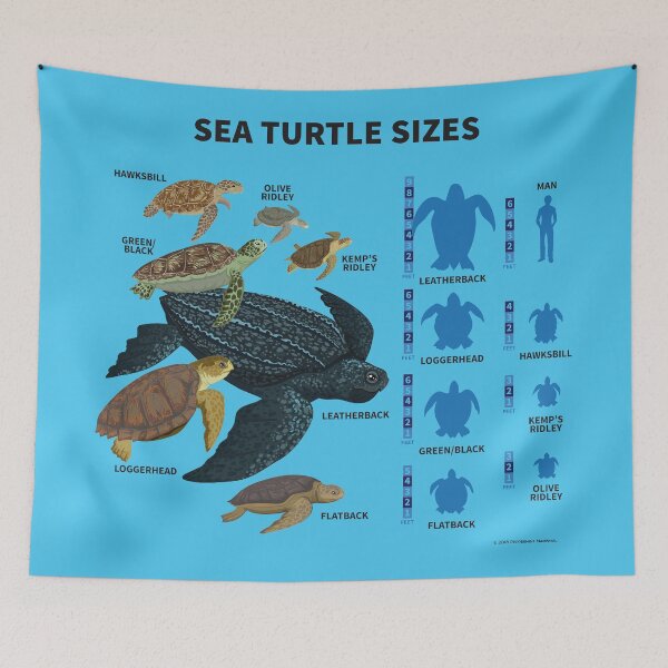 Item preview, Sea Turtle Sizes designed and sold by Peppermint Narwhal.