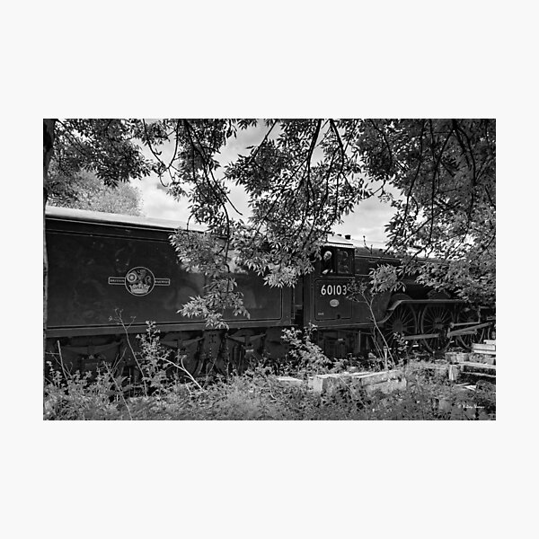 Item preview, Through the Trees designed and sold by arat192.