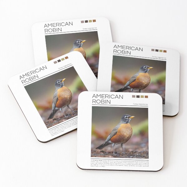 Item preview, American Robin designed and sold by StudioRedKoala.