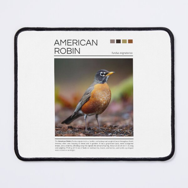 Item preview, American Robin designed and sold by StudioRedKoala.