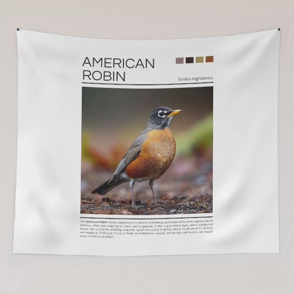 Item preview, American Robin designed and sold by StudioRedKoala.