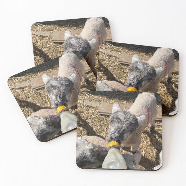 Item preview, Hand Feeding Spring Lambs designed and sold by Kate Anderson Art.
