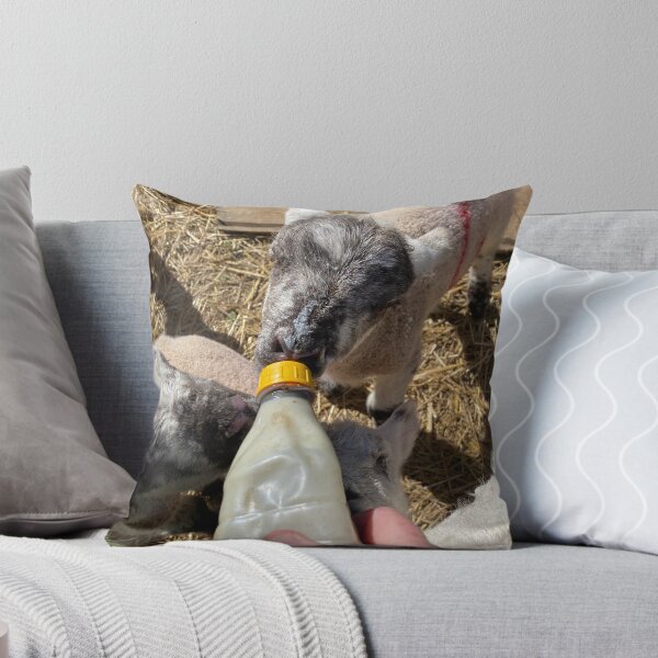Item preview, Hand Feeding Spring Lambs designed and sold by Kate Anderson Art.