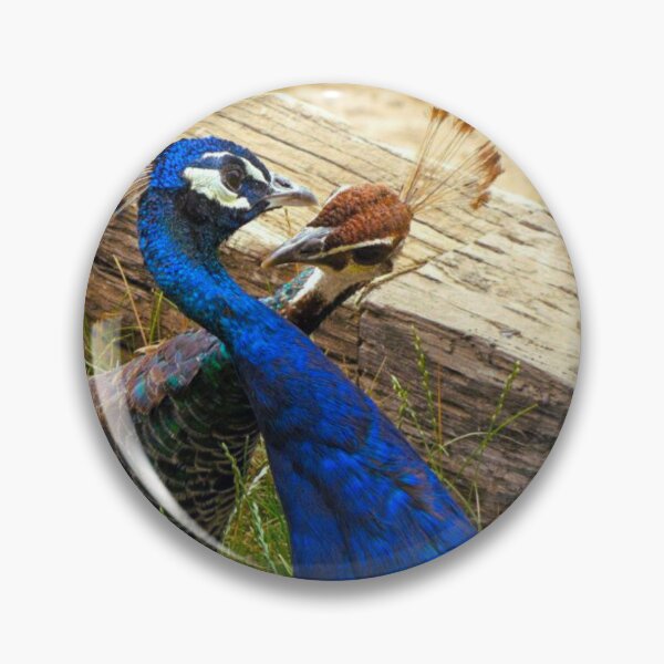 Item preview, Dialogue between peacocks designed and sold by di-Vera-Rosati.