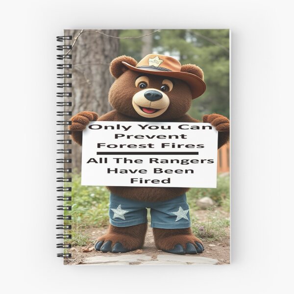 Item preview, Only You Can Prevent Forest Fires - Retro Forest Safety Poster designed and sold by KoliBabb.