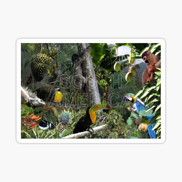 Item preview, South America Photomontage no message designed and sold by ChimaGraphics.