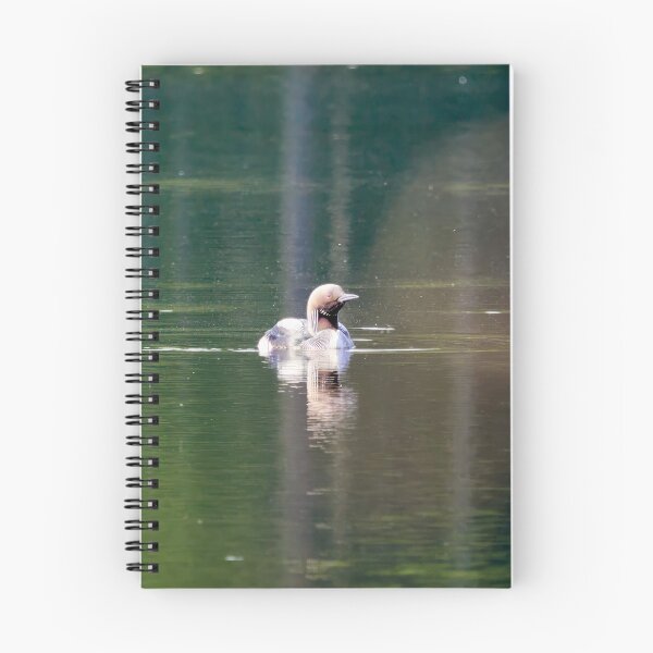 Item preview, Warm bokeh. Black-throated loon designed and sold by Jouko Lehto Photography.