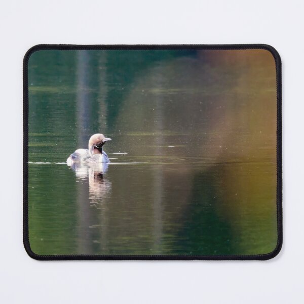 Item preview, Warm bokeh. Black-throated loon designed and sold by Jouko Lehto Photography.