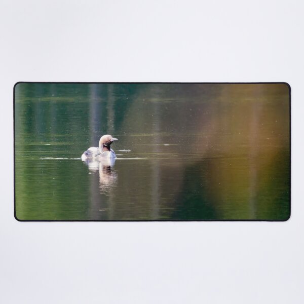 Item preview, Warm bokeh. Black-throated loon designed and sold by Jouko Lehto Photography.