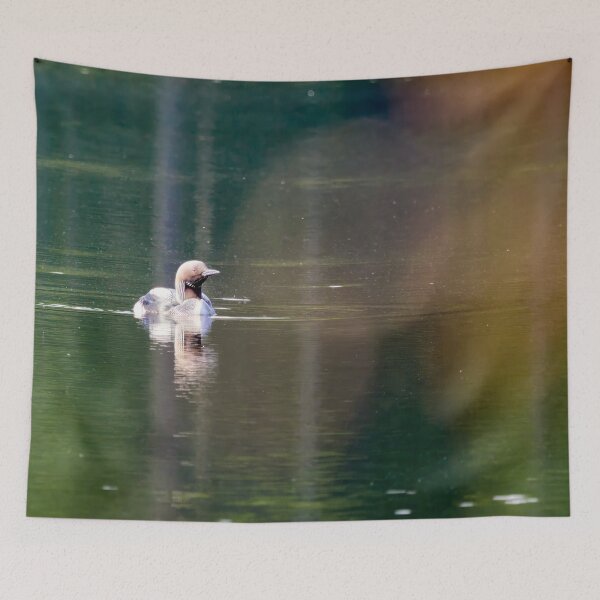 Item preview, Warm bokeh. Black-throated loon designed and sold by Jouko Lehto Photography.