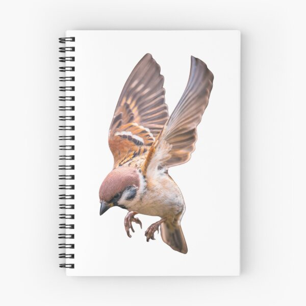 Item preview, Sparrow in flight designed and sold by di-Vera-Rosati.