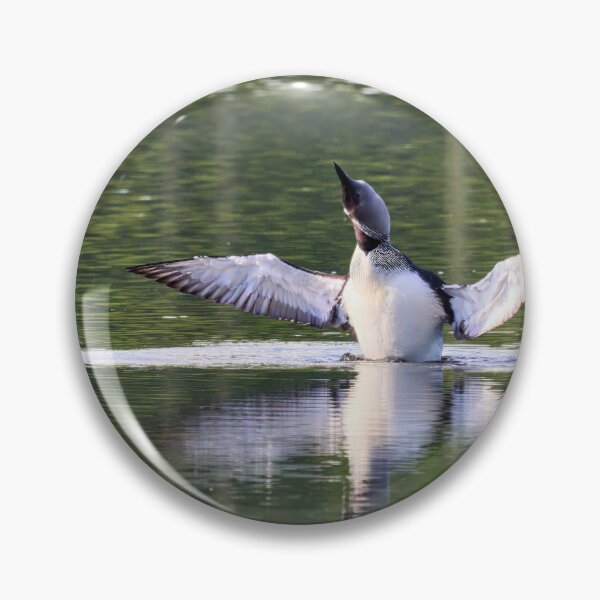Item preview, Shake it. Black-throated loon designed and sold by Jouko Lehto Photography.