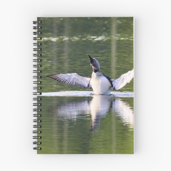 Item preview, Shake it. Black-throated loon designed and sold by Jouko Lehto Photography.