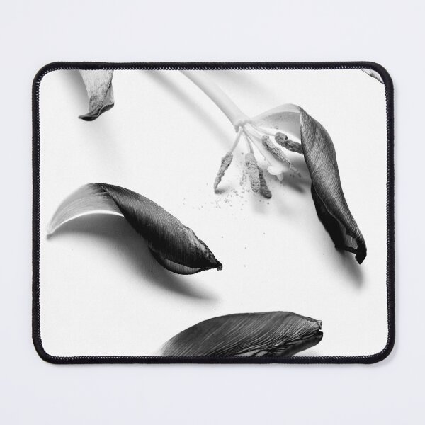 Item preview, Tulip in black and white designed and sold by RenataPhoto.