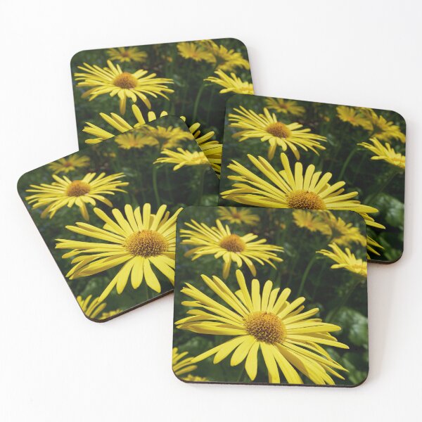 Item preview, Summer colors. Oriental leopard's bane designed and sold by Jouko Lehto Photography.