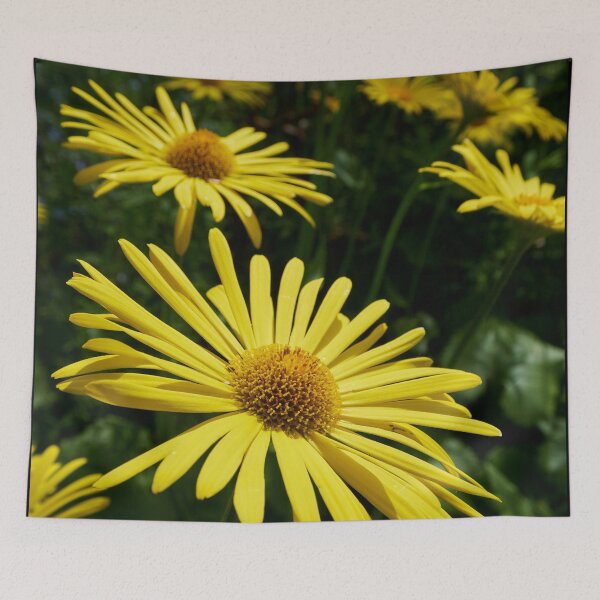 Item preview, Summer colors. Oriental leopard's bane designed and sold by Jouko Lehto Photography.