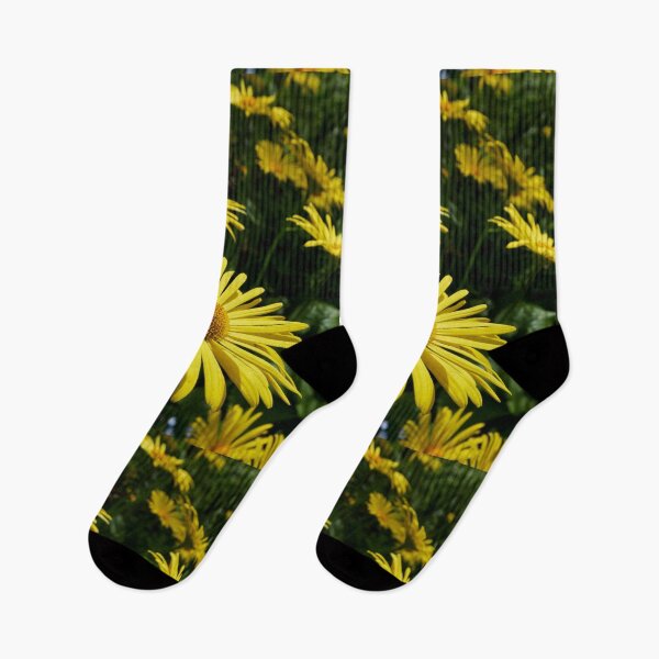 Item preview, Summer colors. Oriental leopard's bane designed and sold by Jouko Lehto Photography.