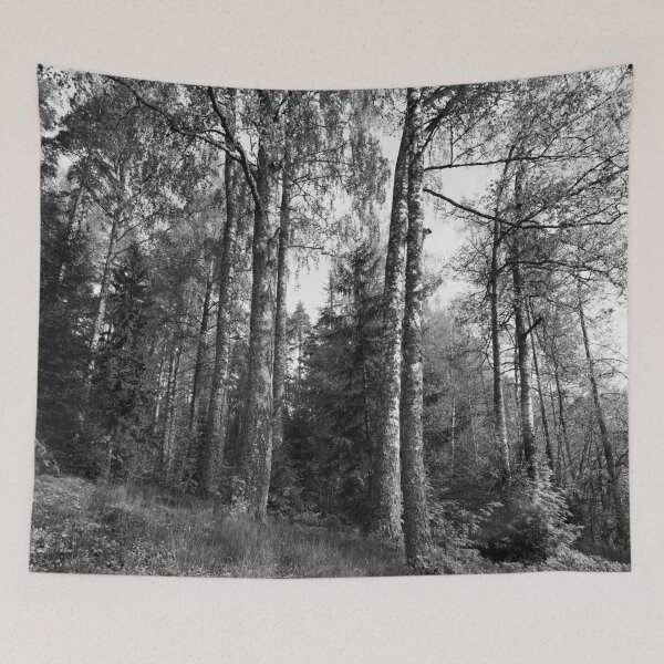 Item preview, Old birches of Taulajarvi 2025 bw designed and sold by Jouko Lehto Photography.