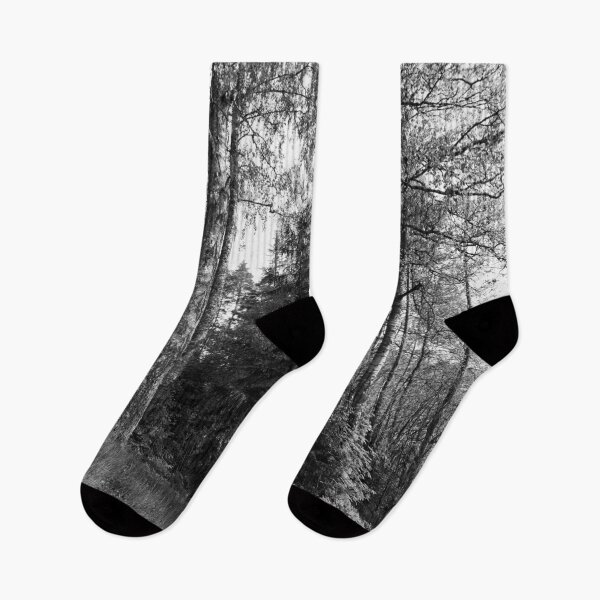 Item preview, Old birches of Taulajarvi 2025 bw designed and sold by Jouko Lehto Photography.
