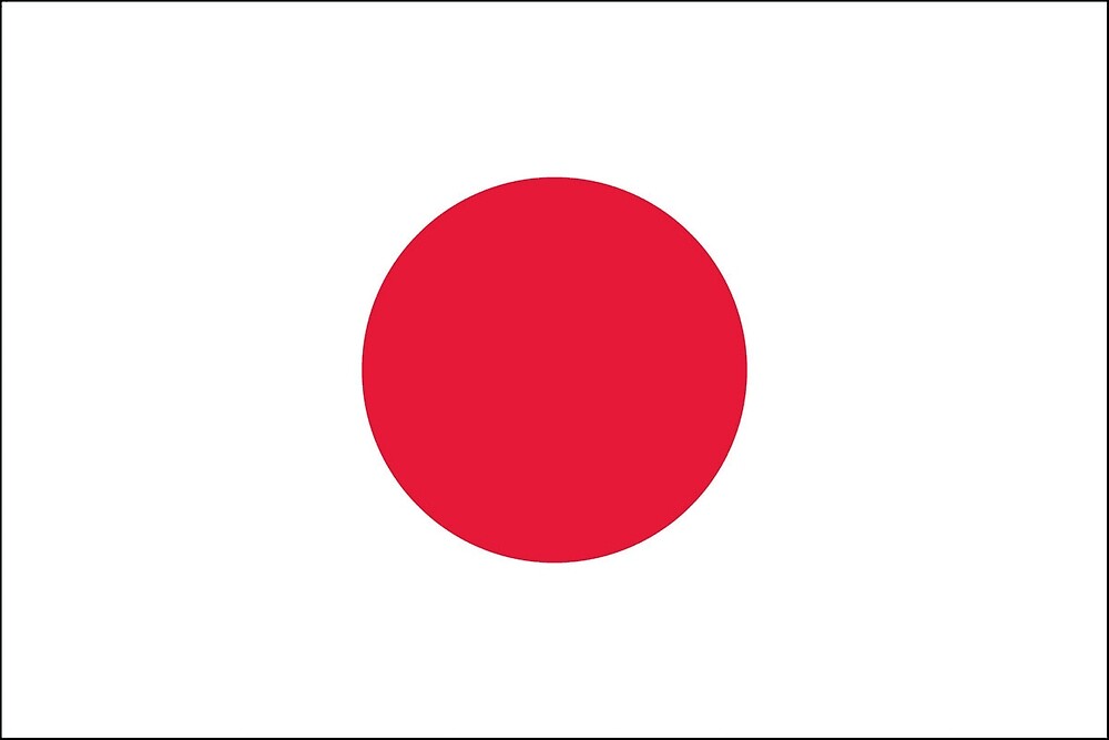 東京製旗 日本国旗 家庭用セット 13560 1セット 【人気沸騰】