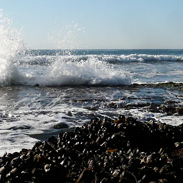 Artwork thumbnail, "Splash!" by Paria Jamalafshari