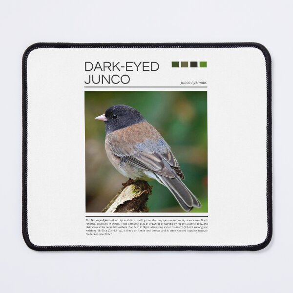 Item preview, Dark-eyed Junco designed and sold by StudioRedKoala.