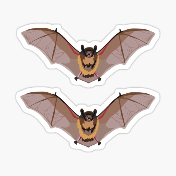 Item preview, B signifie Chauve-souris brune, Chauve-souris brune – Art animalier nocturne pour les amoureux des animaux designed and sold by thezoogirl.