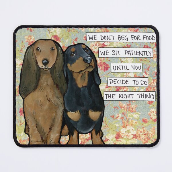 Item preview, We Don't Beg, Dachshund dog hand created art designed and sold by jamiemorathart.